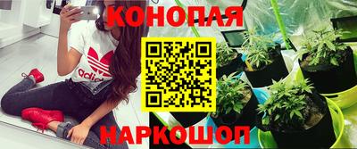альфа пвп Михайловск